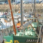 Voiles de Camaret 2021