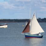 Voilier-sassafra-rdl 22