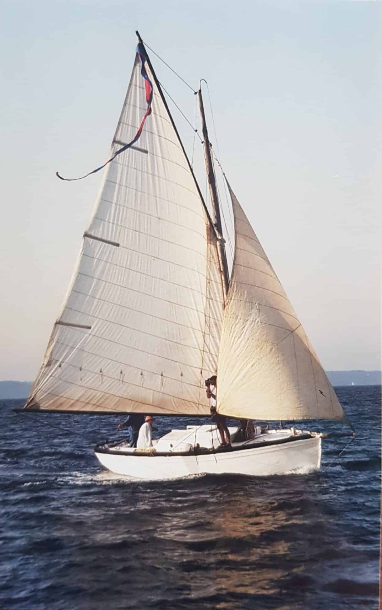 Petrel