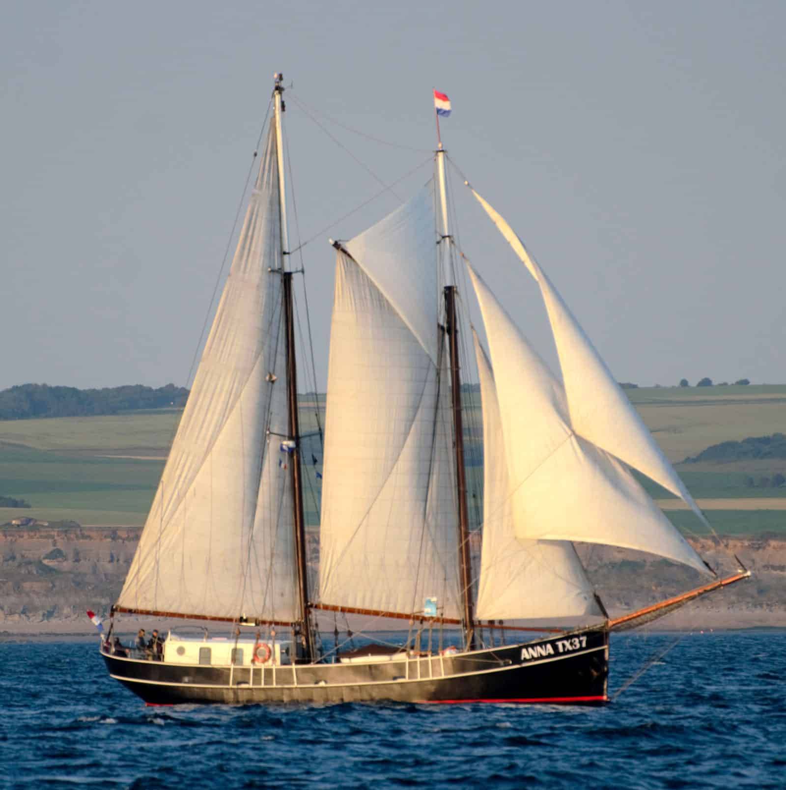 Anna TX37