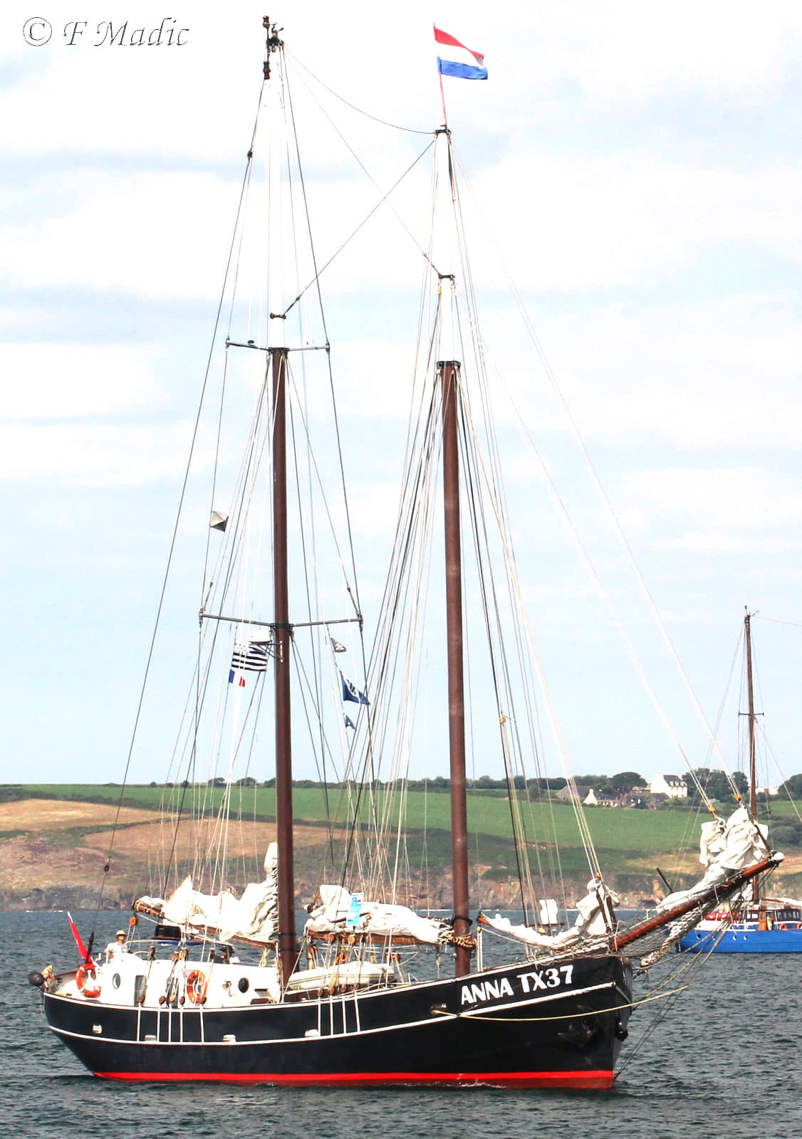 Anna TX37