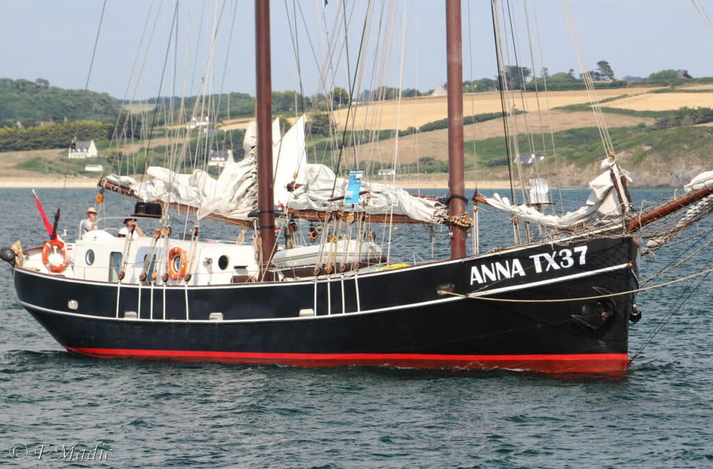 Anna TX37