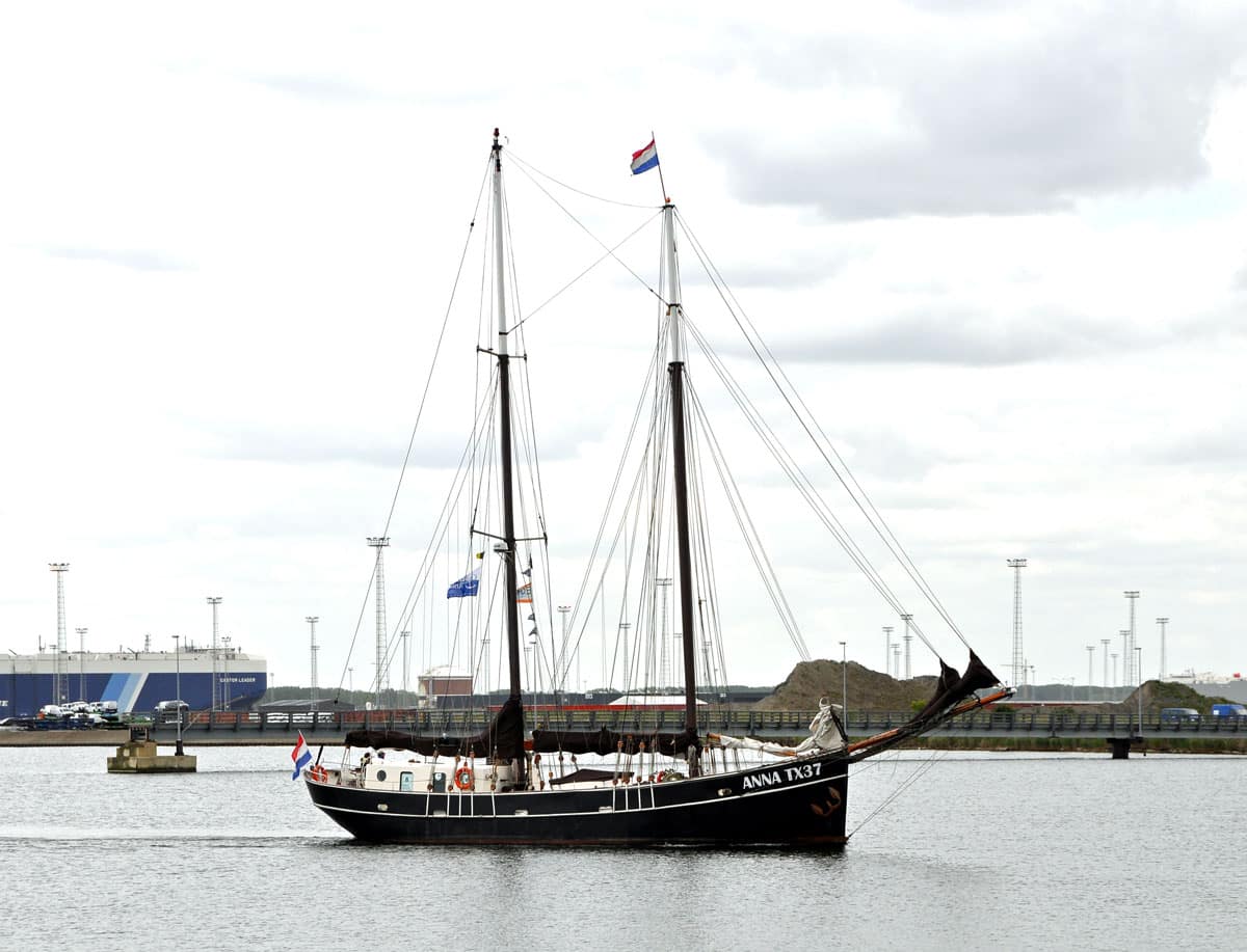 Anna TX37
