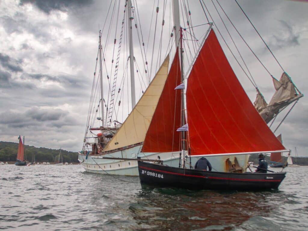 Arvor