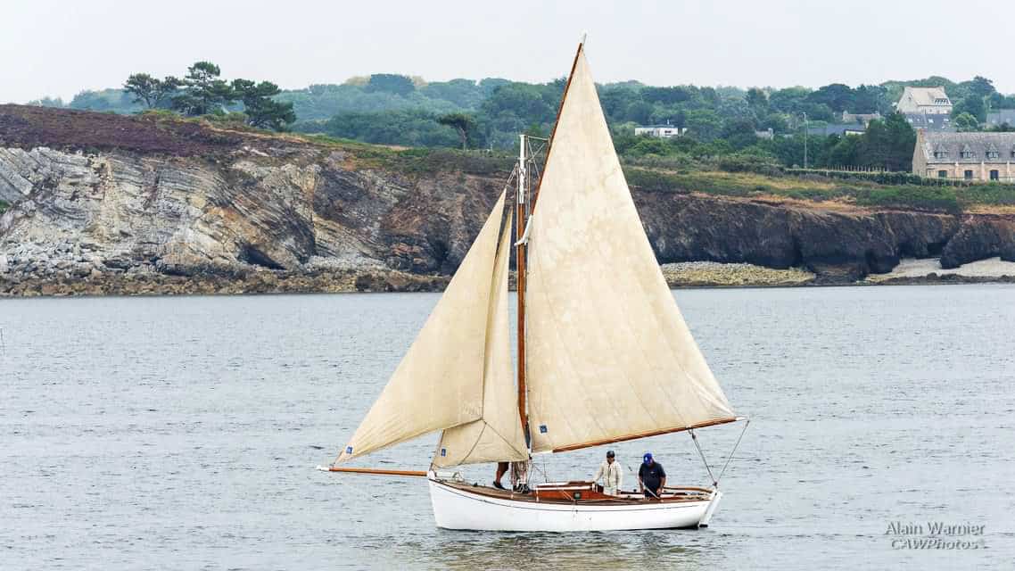 Petrel 4